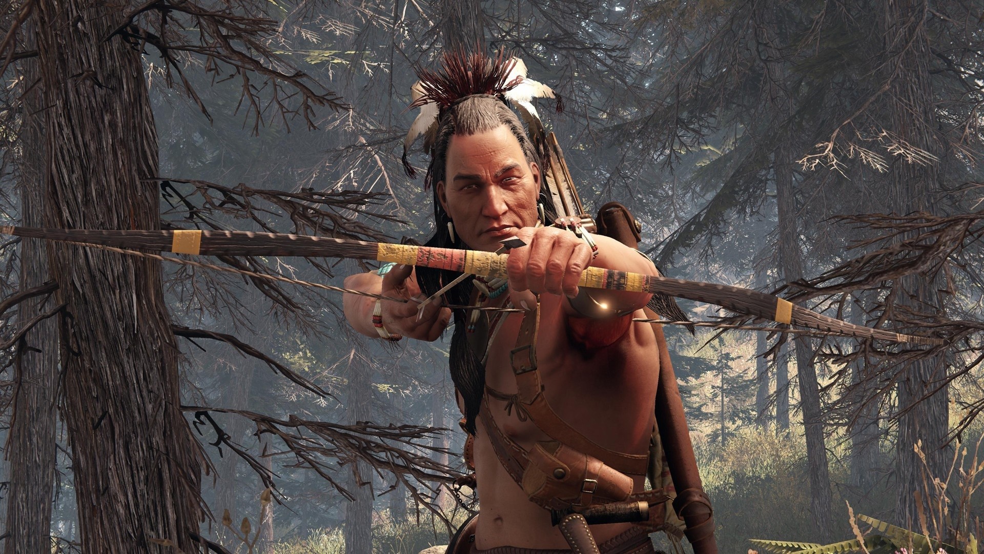 this land is my land