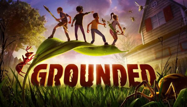 Купить Grounded ключ