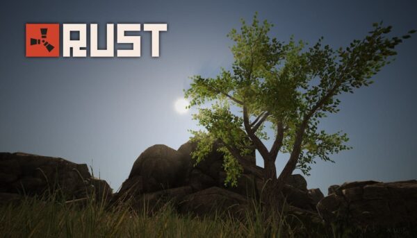 Купить Rust ключ