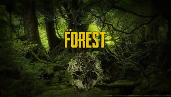 Купить The Forest ключ