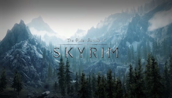 Купить The Elder Scrolls V: Skyrim Special Edition ключ