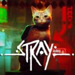 Купить Stray ключ