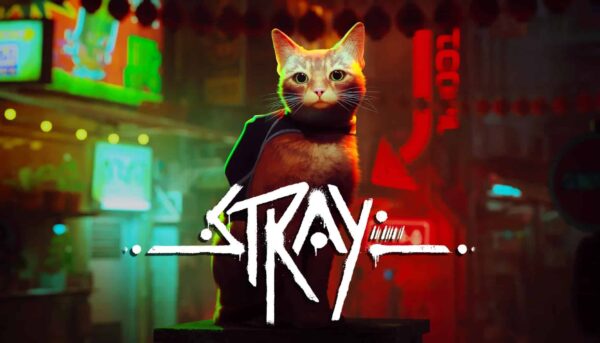 Купить Stray ключ