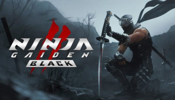 Купить NINJA GAIDEN 2 Black ключ